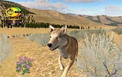 Image of WolfQuest