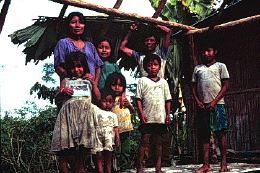 Quichua family