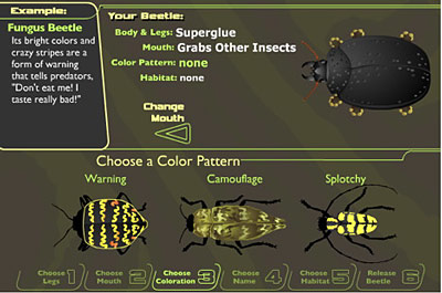 Fig 4: Sample Design activity survey item