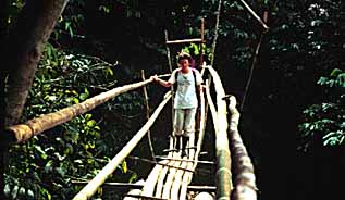 Tourists crossing bamboo bridge