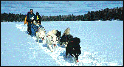 dogsled"