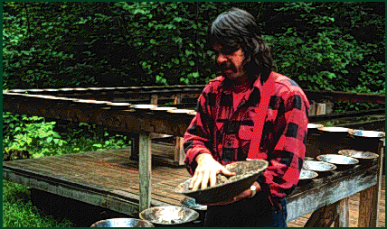 Panning for gold